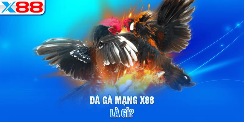 Giới thiệu về đá gà mạng