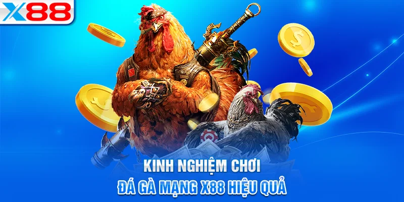 Kinh nghiệm chơi đá gà mạng X88 hiệu quả