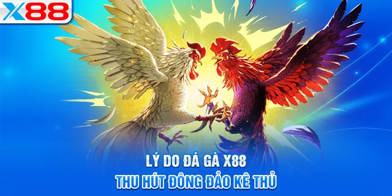 Vì sao đá gà X88 được đông đảo cược thủ yêu thích